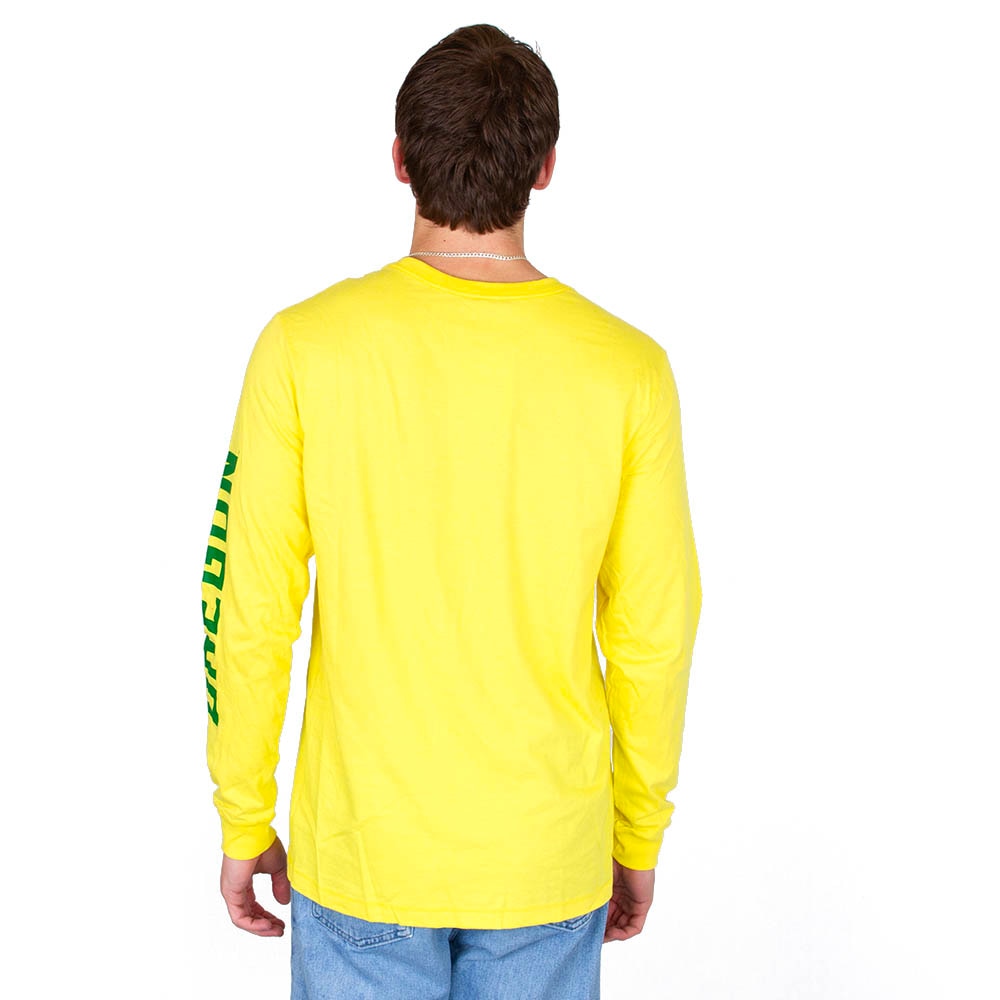 Ducks Spirit, Nike, Yellow, Long Sleeve, Cotton, Men, Basketball, Sleeve graphic, T-Shirt, 813672